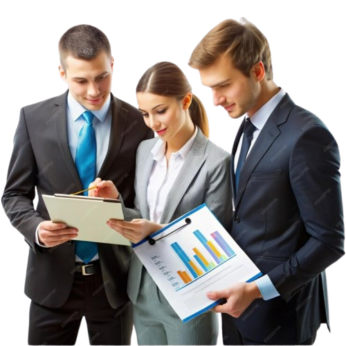 1. Expert Evaluation